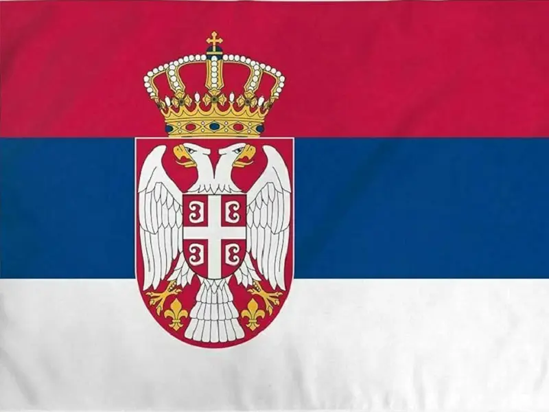 Thông tin chi tiết về đội tuyển bóng đá quốc gia Serbia trước Euro 2024