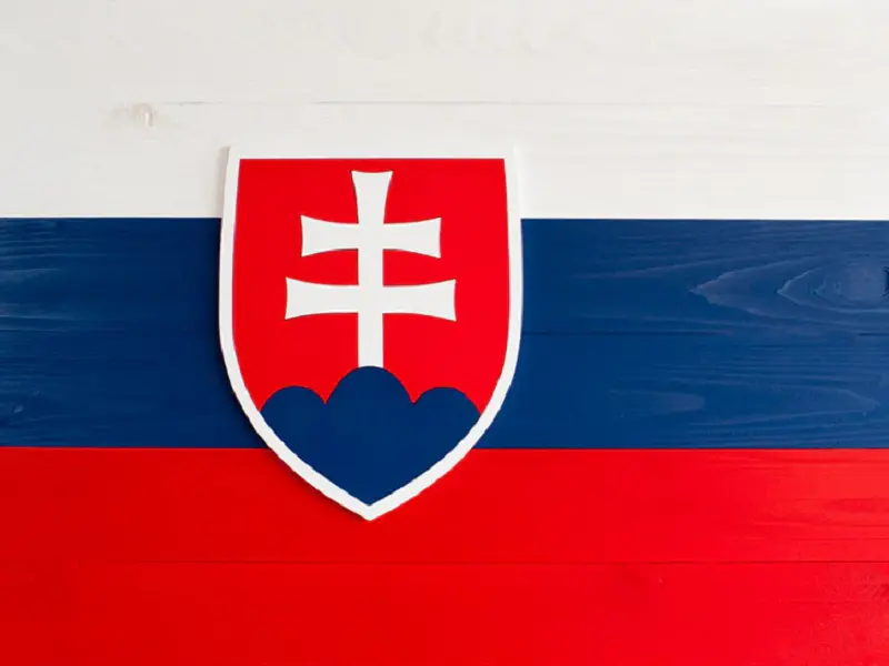 Chuyên gia phân tích đội tuyển bóng đá quốc gia Slovakia trước Euro 2024