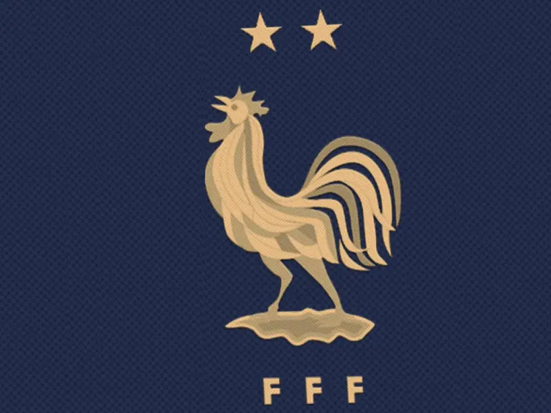 Chuyên gia phân tích đội tuyển bóng đá quốc gia Pháp tại Euro 2024