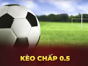 Kèo chấp 0.5 - Bí kíp chơi kèo siêu đỉnh từ các bậc cao thủ